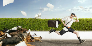 Επιθέσεις σκύλων: 6 πράγματα που πρέπει να γνωρίζετε