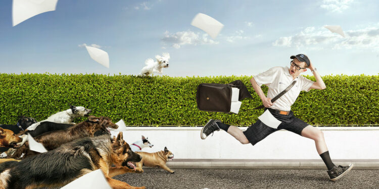 Επιθέσεις σκύλων: 6 πράγματα που πρέπει να γνωρίζετε