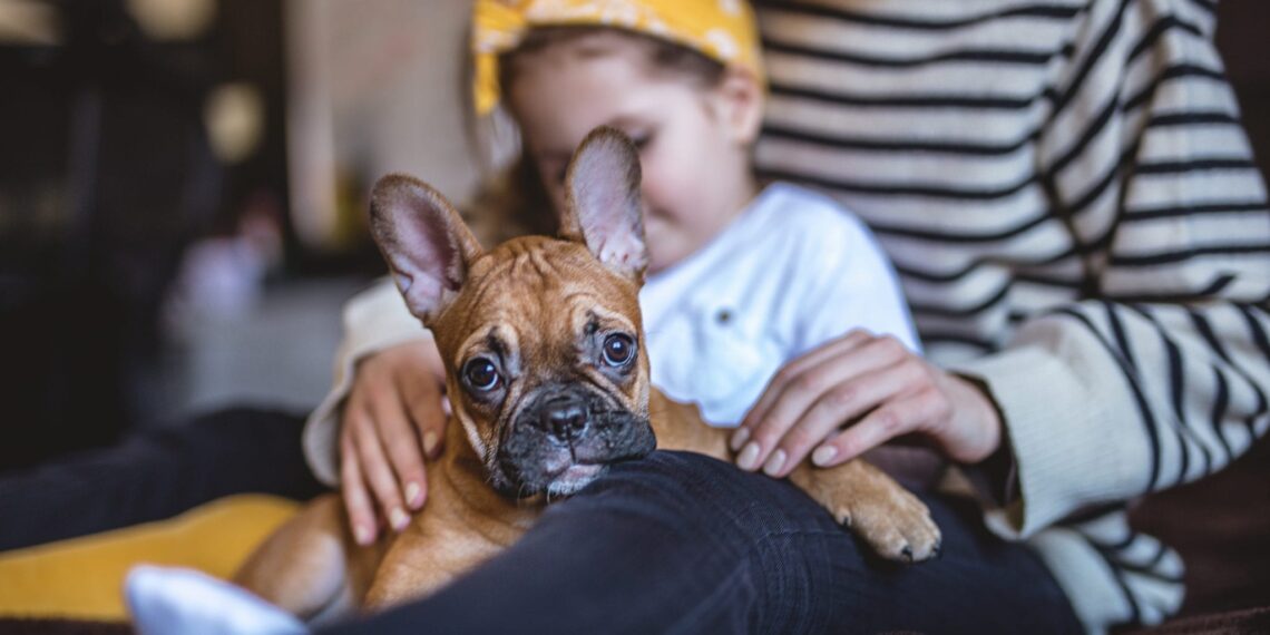 Θεραπεία με κατοικίδιο: Πώς τα κατοικίδια μπορούν να κάνουν καλύτερο τον γάμο