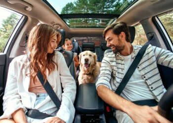 Ταξίδέψτε μαζί με το κατοικίδιο σας το Πάσχα με ασφάλεια