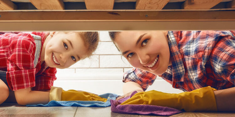 Συμβουλές: Καθαρισμός και κατοικίδια