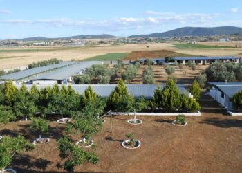 Ξενοδοχείο σκύλων: Avrafarm