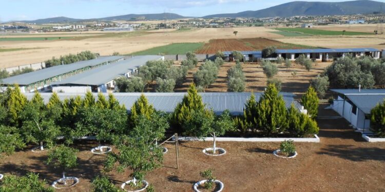 Ξενοδοχείο σκύλων: Avrafarm