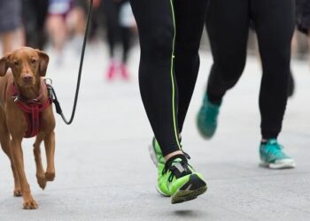 Εκπαίδευση: Συμβουλές για τρέξιμο μαζί με το σκύλο σας
