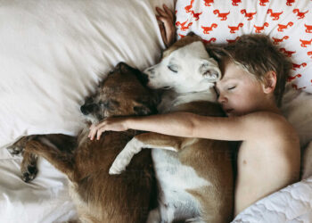 Συμβουλές: Ύπνος με κατοικίδια