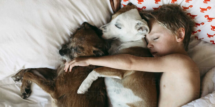 Συμβουλές: Ύπνος με κατοικίδια