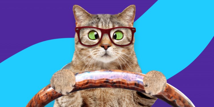 Αρρωσταίνουν οι γάτες με το αυτοκίνητο;