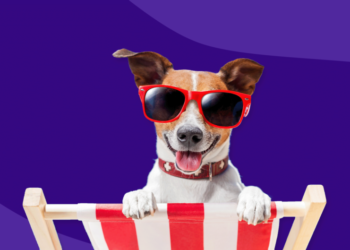 Συμβουλές: Αποτρέψετε τα ηλιακά εγκαύματα στους σκύλους σας.