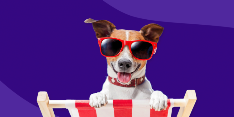 Συμβουλές: Αποτρέψετε τα ηλιακά εγκαύματα στους σκύλους σας.