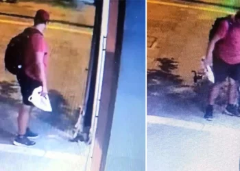 Θεσσαλονίκη: Ταυτοποιήθηκε ο άντρας που ποδοπάτησε το γατάκι