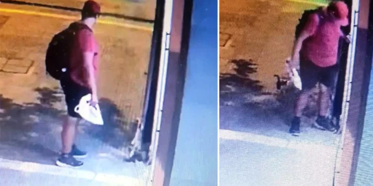 Θεσσαλονίκη: Ταυτοποιήθηκε ο άντρας που ποδοπάτησε το γατάκι