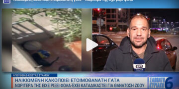 Ηλικιωμένη ρίχνει φόλες στα ζώα της γειτονιάς και κακοποιεί ετοιμοθάνατη γάτα