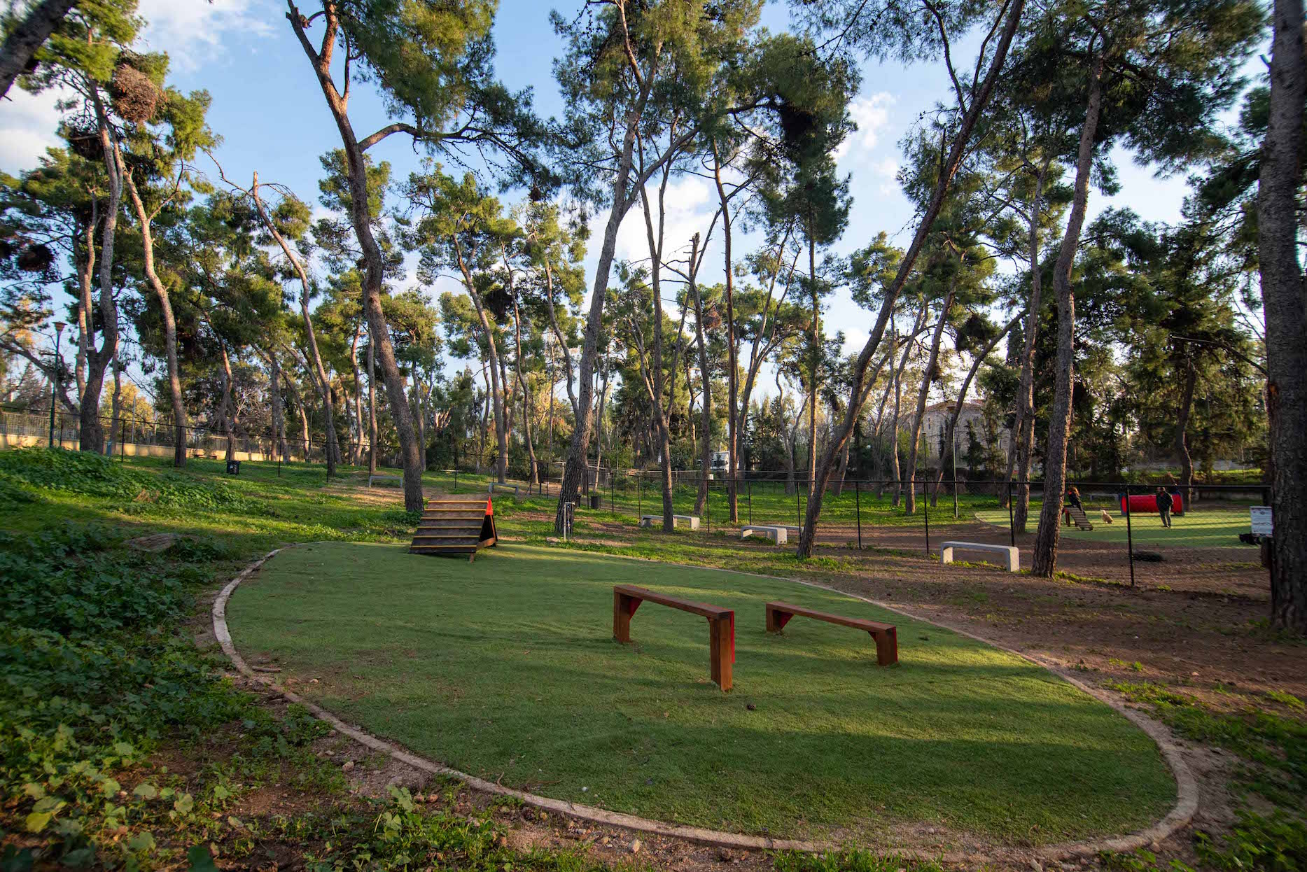 Πάρκα Σκύλων: Δύο νέα σύγχρονα dog parks δημιουργήθηκαν στην Αθήνα | ZOOKY
