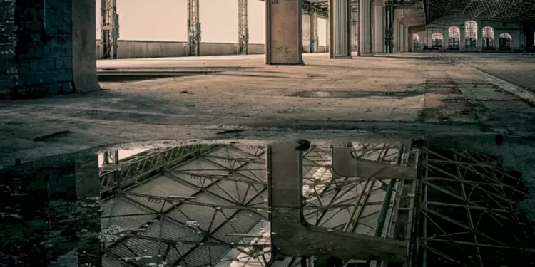 Κακοποίηση Ζώων: 33χρονος σκότωνε γάτες σε εγκαταλελειμμένο κτίριο.