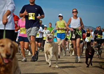 Διεθνή: Τέσσερα σκυλάκια πέθαναν όταν έφαγαν δηλητηριασμένα κεφτεδάκια κατά τη διάρκεια αγώνα cross-country