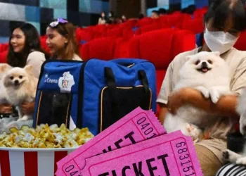 Ταϊλάνδη: Το πρώτο σινεμά για κατοικίδια ζώα