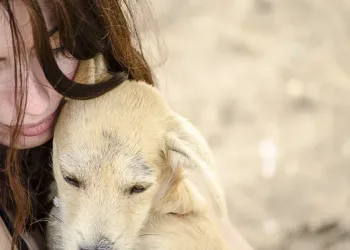 Συμβουλές για την προστασία των ζώων συντροφιάς
