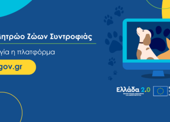 Οδηγός υπηρεσιών Εθνικού Μητρώου Ζώων Συντροφιάς