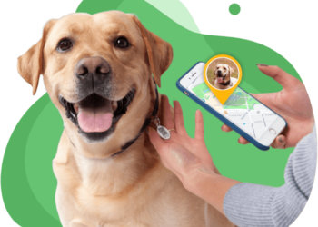 Σε περίπτωση απώλειας του ζώου, αν κάποιος το εντοπίσει, μπορεί να σαρώσει τον QR κωδικό για να δει τον κωδικό microchip του ζώου.