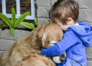 Δήλωση εύρεσης ζώου συντροφιάς