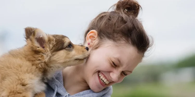 ZOOKY | Πως αισθάνονται οι άνθρωποι για τα κατοικίδιά τους