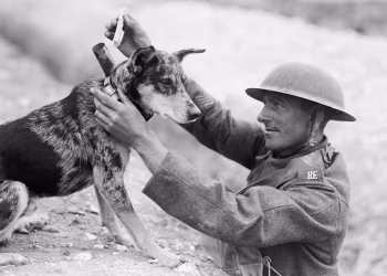 ZOOKY | Ο σκύλος είναι η μεγαλύτερη «εφεύρεση» του ανθρώπου