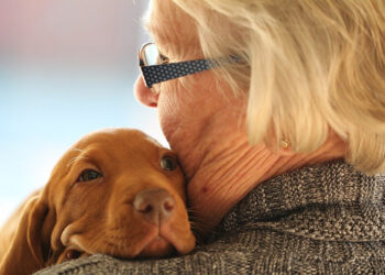 Η σιωπηλή θεραπεία: Πώς ένα ζώο μπορεί να “ξυπνήσει” τη μνήμη