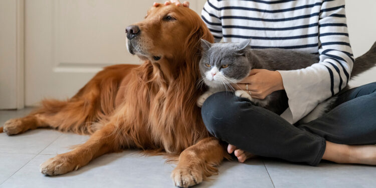 Στέλνουμε… μούρη: Το Νέο Εθνικό Μητρώο Ζώων & οι 300.000+ στειρώσεις