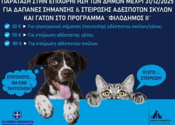 Παράταση για επιχορήγηση 3 εκατ. ευρώ στους Δήμους για τα αδέσποτα – προθεσμία έως 31/12/2025