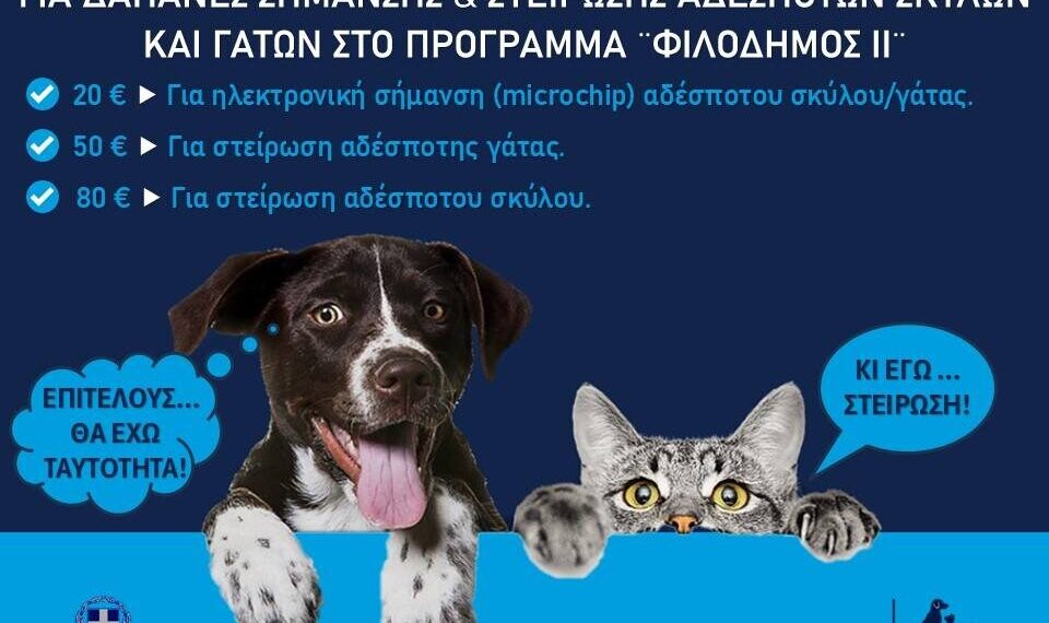 Χώρος φιλοζωικής φροντίδας με κουβέρτες, μπολ, crates και ζεστό φυσικό φως