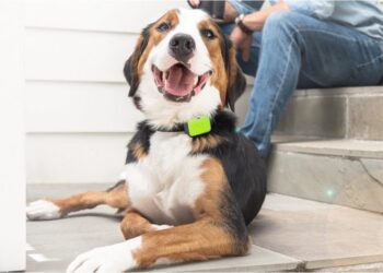 Τάσεις για κατοικίδια και pet-care το 2026: Τι περιμένουμε να δούμε