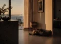 Χώρος φιλοζωικής φροντίδας με κουβέρτες, μπολ, crates και ζεστό φυσικό φως