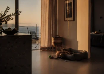 Χώρος φιλοζωικής φροντίδας με κουβέρτες, μπολ, crates και ζεστό φυσικό φως