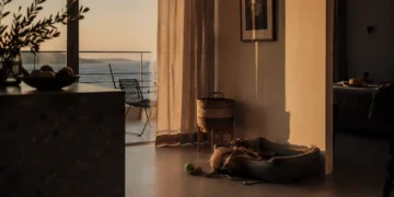 Χώρος φιλοζωικής φροντίδας με κουβέρτες, μπολ, crates και ζεστό φυσικό φως