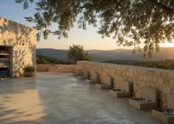 Σοβαρή συμβολική εικόνα με άδειο μπολ, πετσέτα και ήρεμο αστικό φως για προστασία ζώων