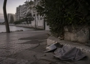 Σοβαρή συμβολική εικόνα με άδειο μπολ, πετσέτα και ήρεμο αστικό φως για προστασία ζώων