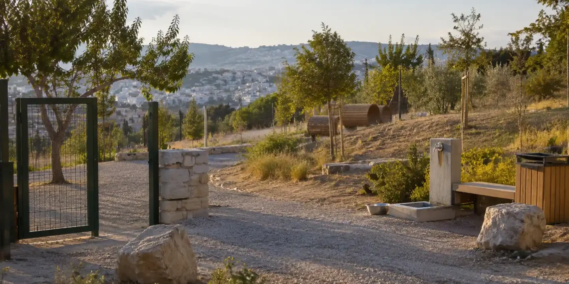 Χώρος φιλοζωικής φροντίδας με κουβέρτες, μπολ, crates και ζεστό φυσικό φως