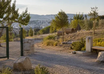 Χώρος φιλοζωικής φροντίδας με κουβέρτες, μπολ, crates και ζεστό φυσικό φως
