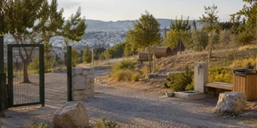 Χώρος φιλοζωικής φροντίδας με κουβέρτες, μπολ, crates και ζεστό φυσικό φως