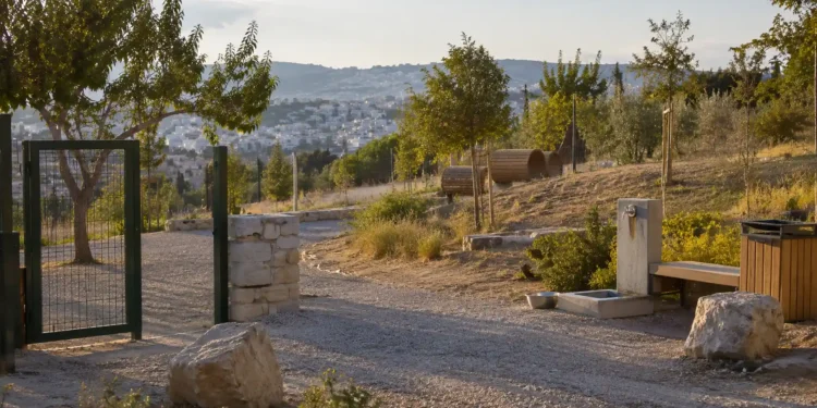 Χώρος φιλοζωικής φροντίδας με κουβέρτες, μπολ, crates και ζεστό φυσικό φως