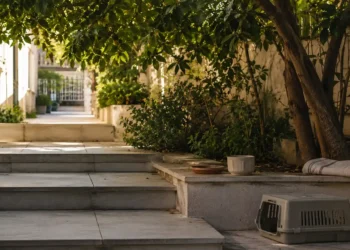 Σκηνή εκπαίδευσης και συμπεριφοράς με λουρί, παιχνίδια, markers και απαλό φυσικό φως