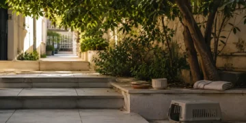 Σκηνή εκπαίδευσης και συμπεριφοράς με λουρί, παιχνίδια, markers και απαλό φυσικό φως